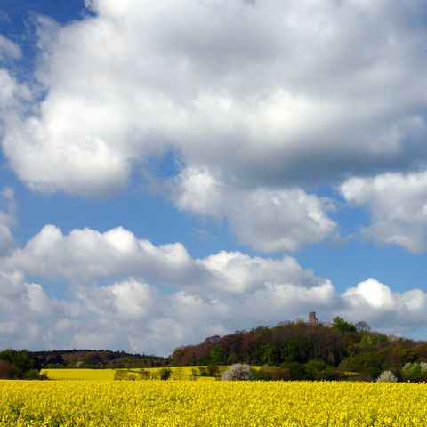 Blick zum Tomberg