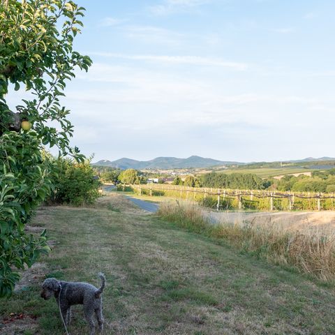 Obstweg Schneiders Obsthof